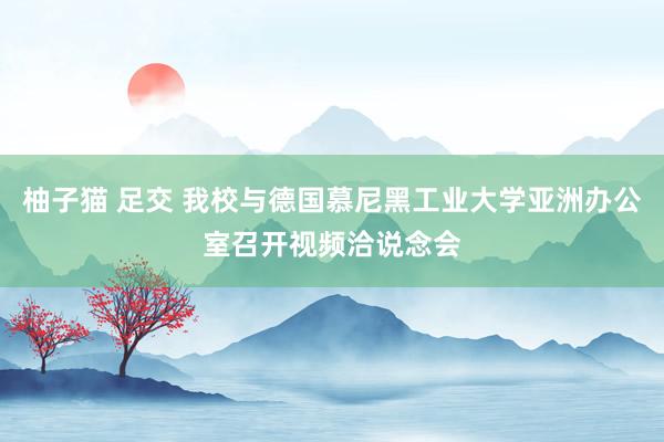 柚子猫 足交 我校与德国慕尼黑工业大学亚洲办公室召开视频洽说念会