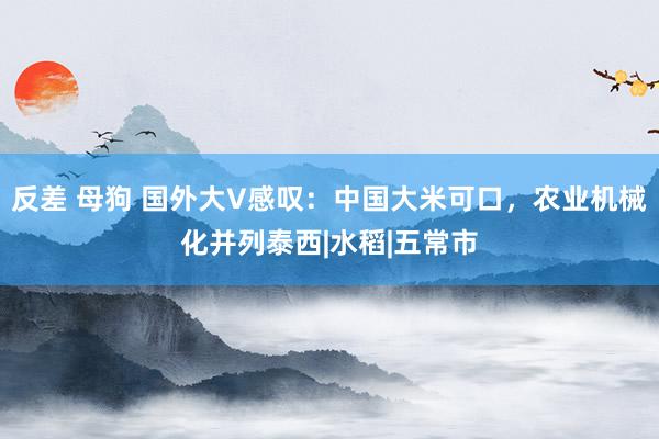 反差 母狗 国外大V感叹：中国大米可口，农业机械化并列泰西|水稻|五常市
