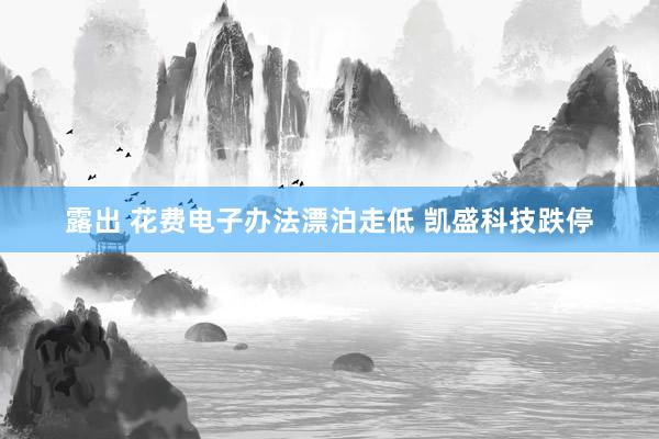 露出 花费电子办法漂泊走低 凯盛科技跌停