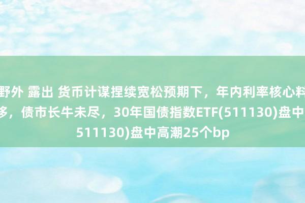 野外 露出 货币计谋捏续宽松预期下，年内利率核心料难以大幅上移，债市长牛未尽，30年国债指数ETF(511130)盘中高潮25个bp