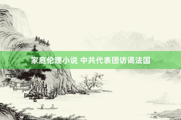 家庭伦理小说 中共代表团访谒法国