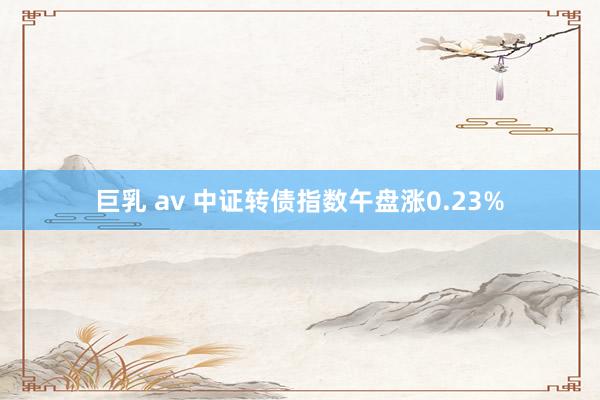 巨乳 av 中证转债指数午盘涨0.23%