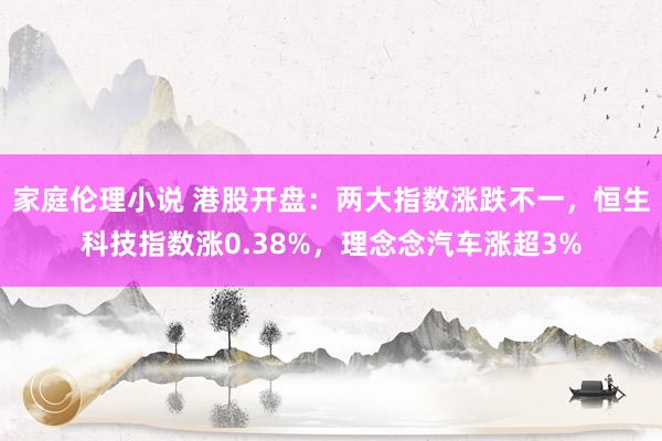 家庭伦理小说 港股开盘：两大指数涨跌不一，恒生科技指数涨0.38%，理念念汽车涨超3%