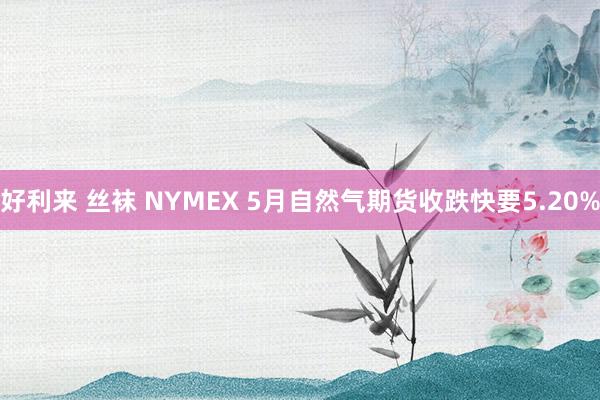 好利来 丝袜 NYMEX 5月自然气期货收跌快要5.20%